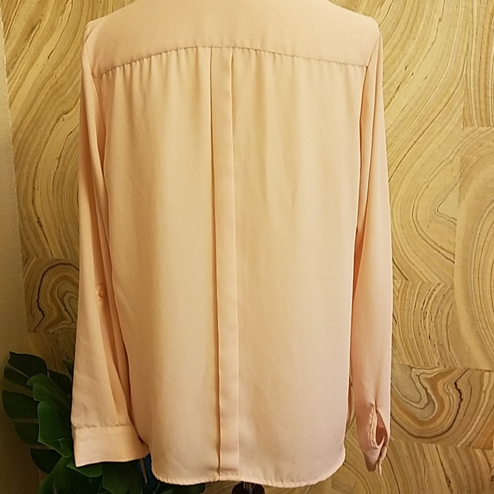 The Limited Sheer Pink Blouse - Picture 3 of 3